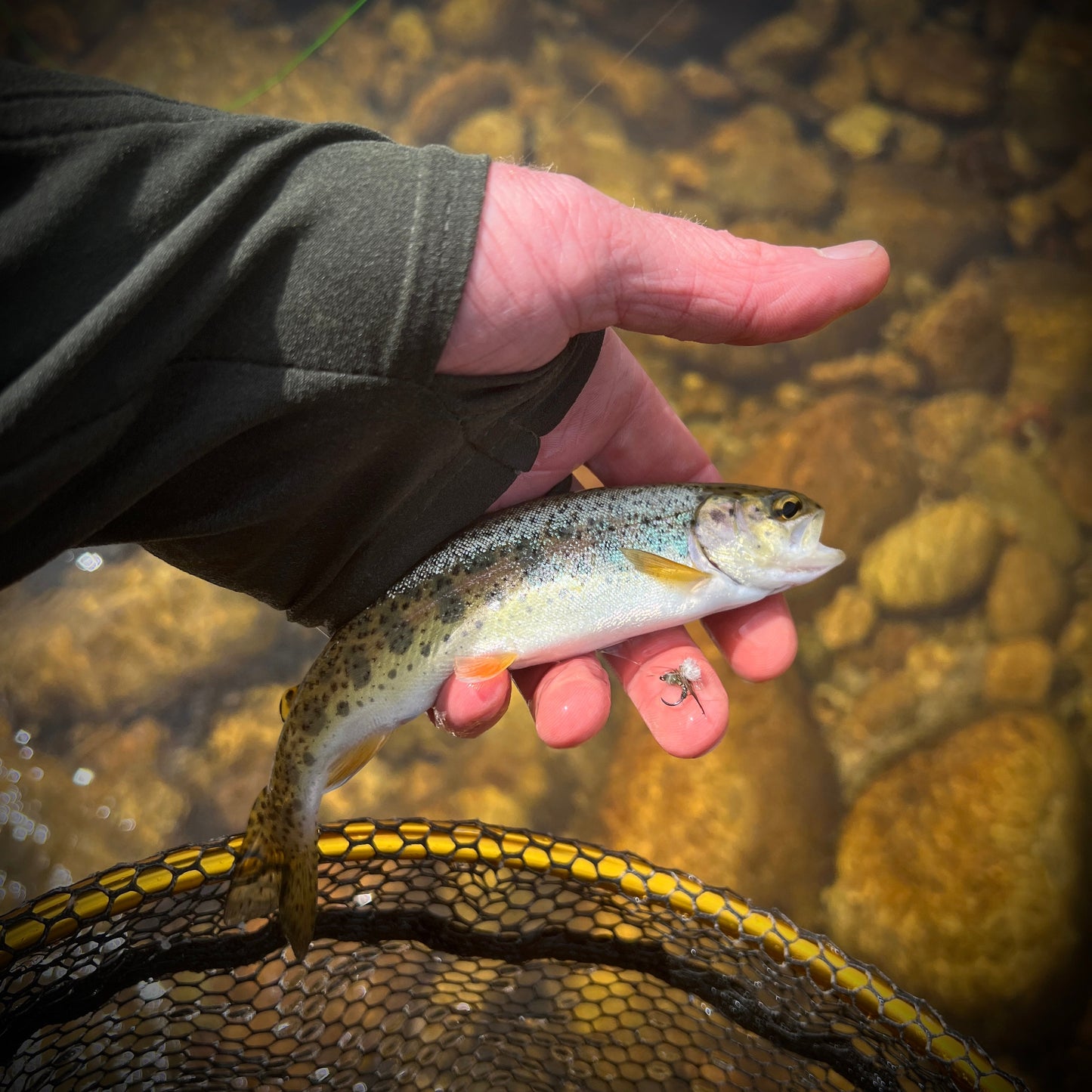 Mens Build a Hoodie Fishing