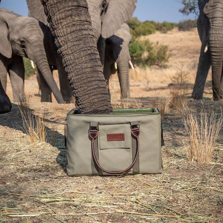 Softshell 45 Cooler