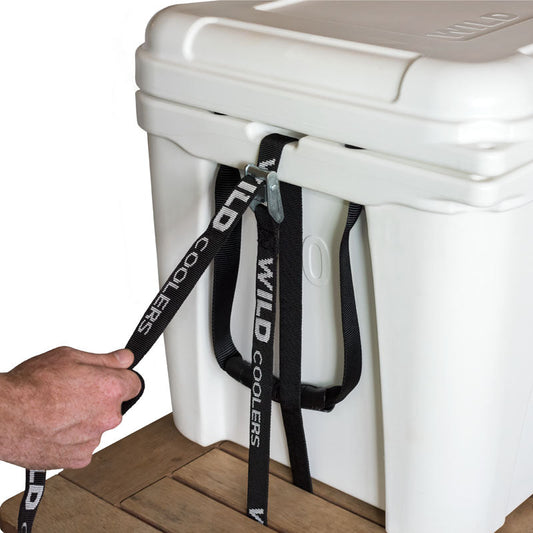 Tie Downs - Set Of 2